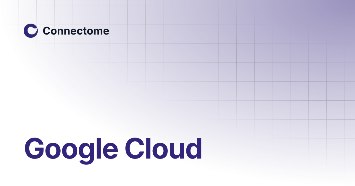 Google cloud connectome